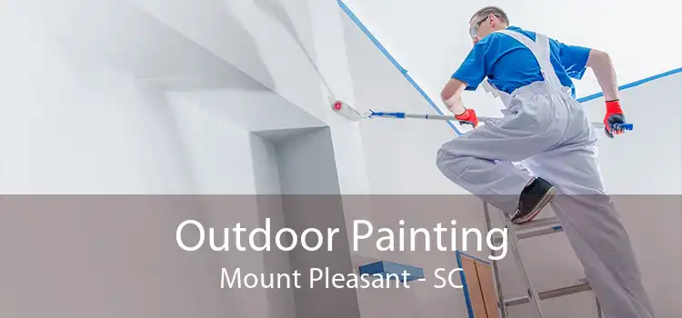 Outdoor Painting Mount Pleasant - SC