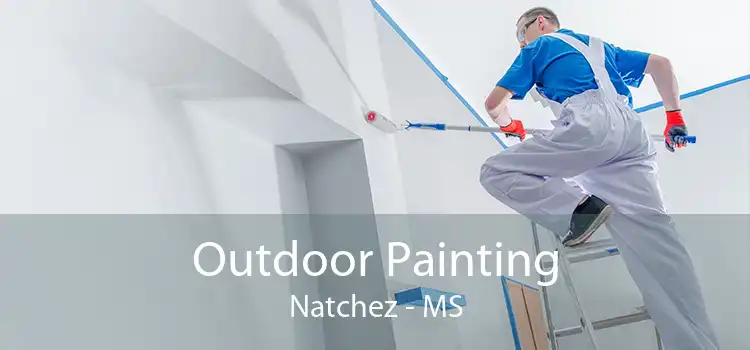 Outdoor Painting Natchez - MS