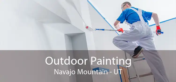 Outdoor Painting Navajo Mountain - UT