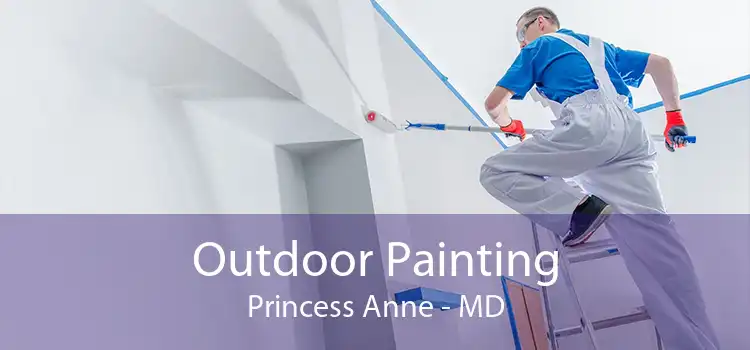 Outdoor Painting Princess Anne - MD