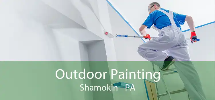 Outdoor Painting Shamokin - PA