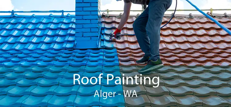 Roof Painting Alger - WA