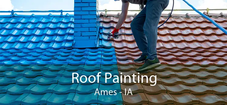 Roof Painting Ames - IA