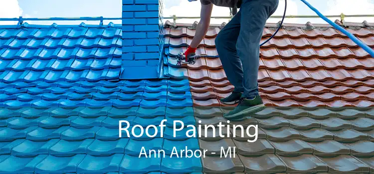 Roof Painting Ann Arbor - MI
