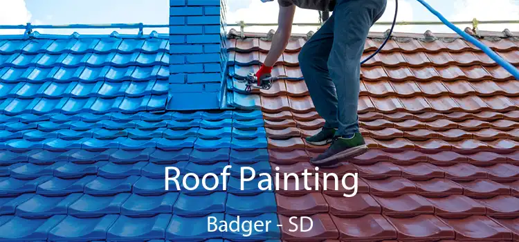 Roof Painting Badger - SD