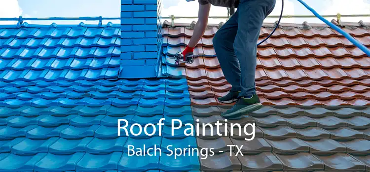 Roof Painting Balch Springs - TX