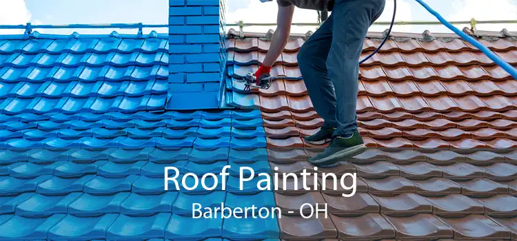 Roof Painting Barberton - OH