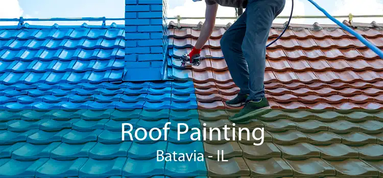 Roof Painting Batavia - IL