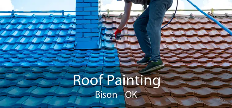 Roof Painting Bison - OK
