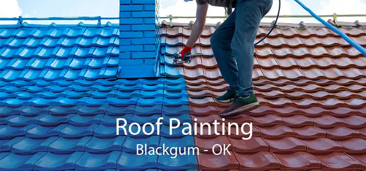 Roof Painting Blackgum - OK
