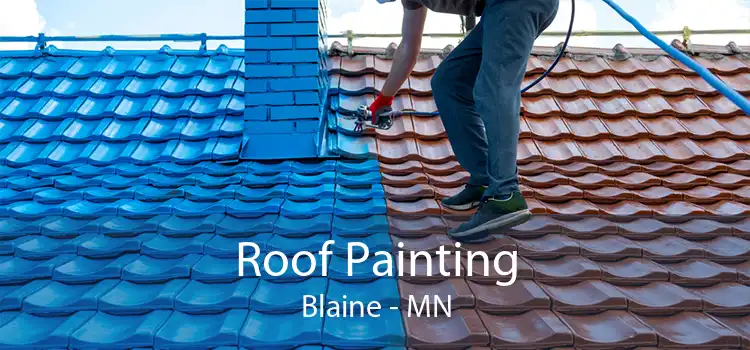 Roof Painting Blaine - MN