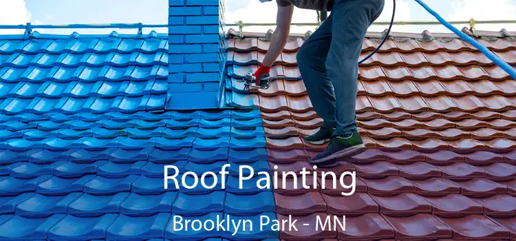 Roof Painting Brooklyn Park - MN