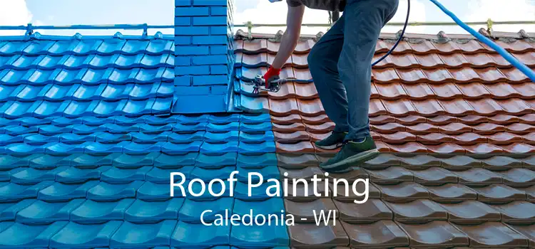 Roof Painting Caledonia - WI