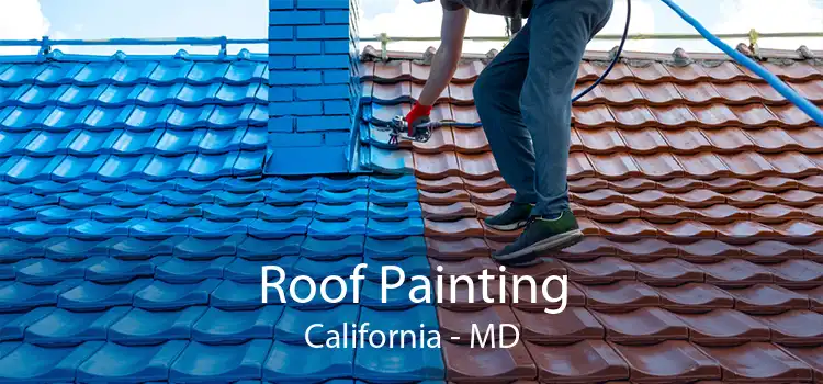 Roof Painting California - MD