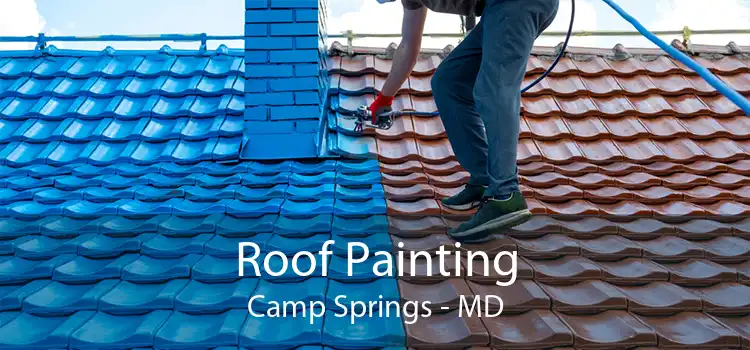Roof Painting Camp Springs - MD