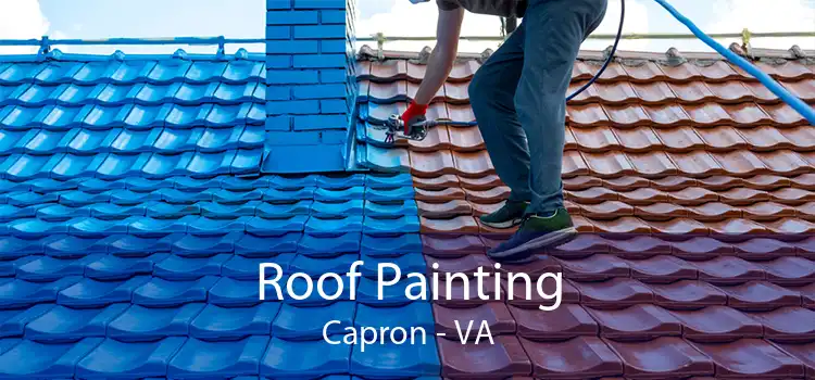 Roof Painting Capron - VA