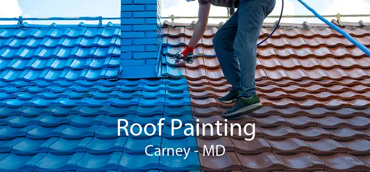 Roof Painting Carney - MD