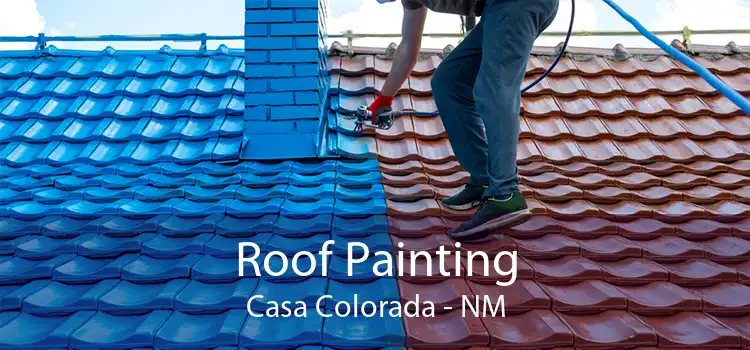 Roof Painting Casa Colorada - NM