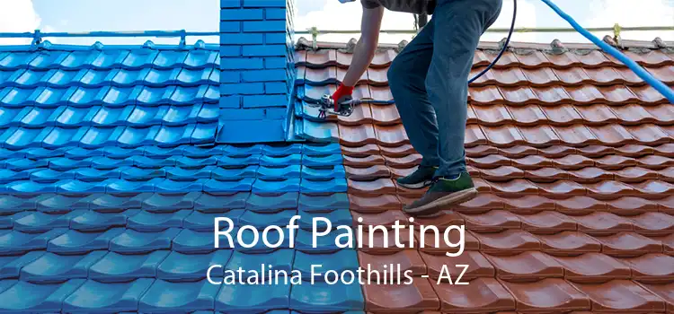 Roof Painting Catalina Foothills - AZ