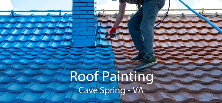 Roof Painting Cave Spring - VA