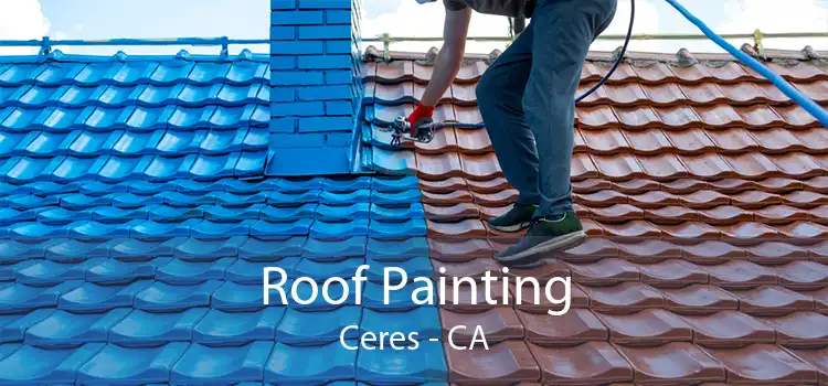 Roof Painting Ceres - CA
