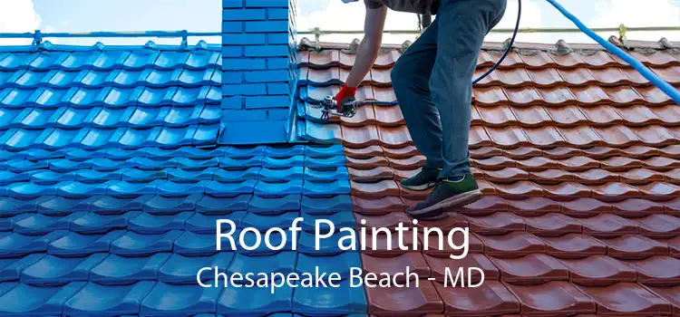 Roof Painting Chesapeake Beach - MD