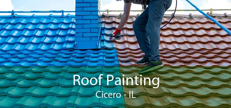 Roof Painting Cicero - IL