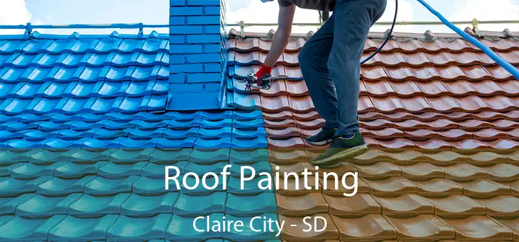 Roof Painting Claire City - SD