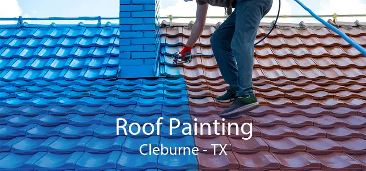 Roof Painting Cleburne - TX