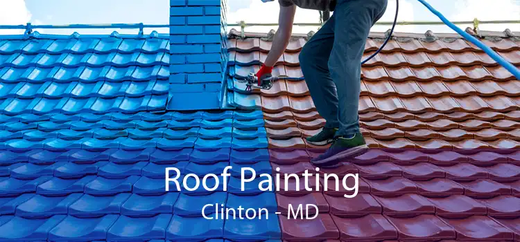 Roof Painting Clinton - MD
