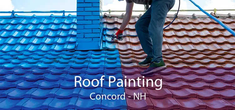 Roof Painting Concord - NH