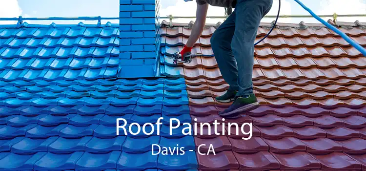 Roof Painting Davis - CA