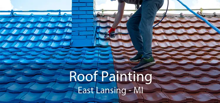 Roof Painting East Lansing - MI