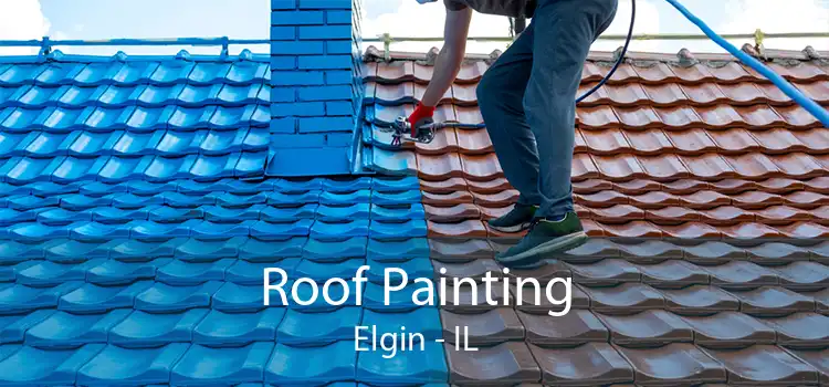 Roof Painting Elgin - IL