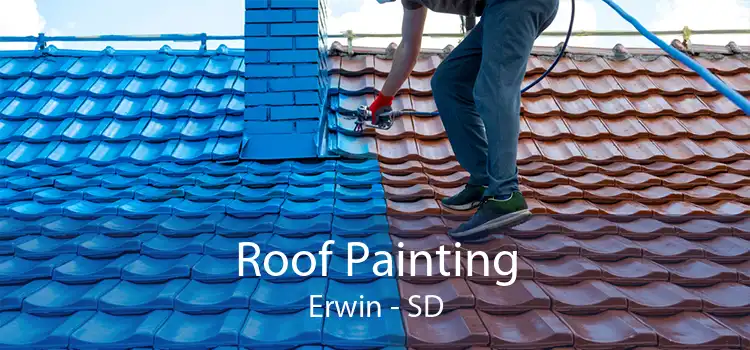 Roof Painting Erwin - SD