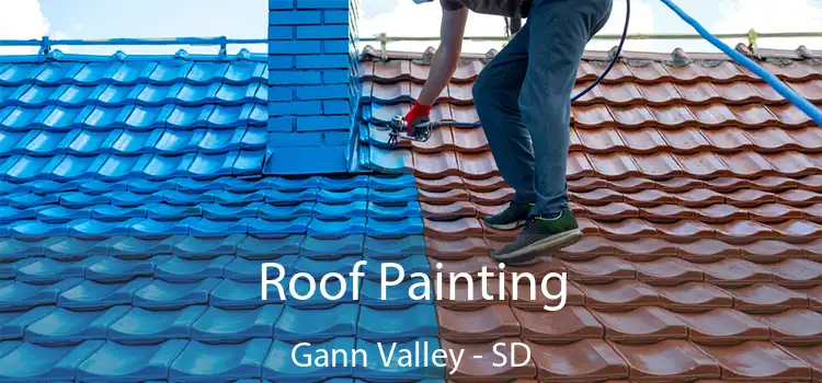 Roof Painting Gann Valley - SD