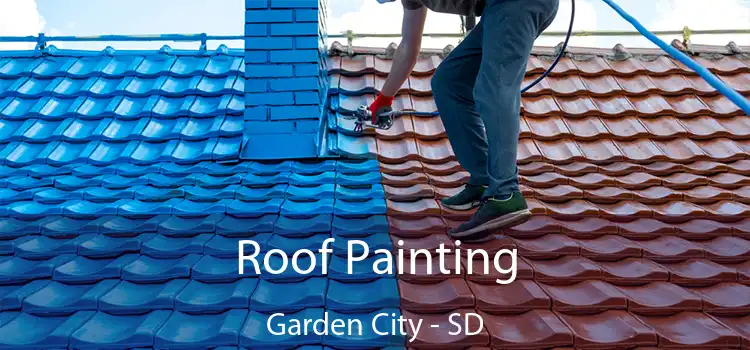 Roof Painting Garden City - SD