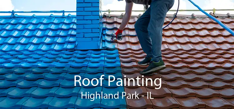 Roof Painting Highland Park - IL