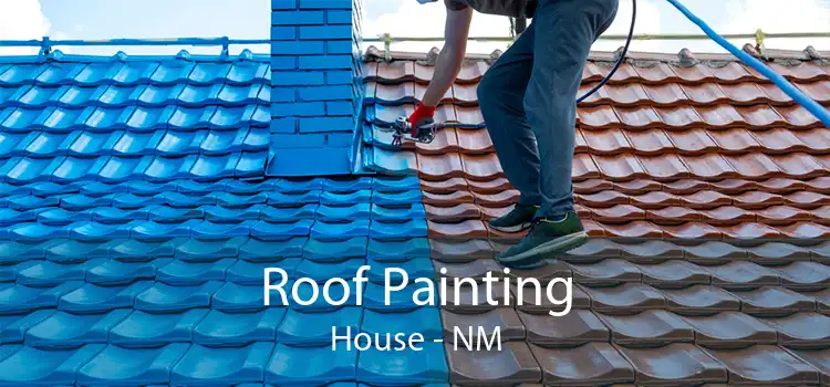 Roof Painting House - NM