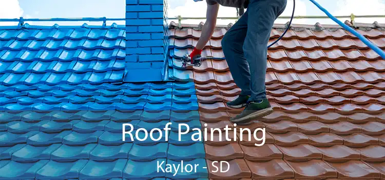 Roof Painting Kaylor - SD
