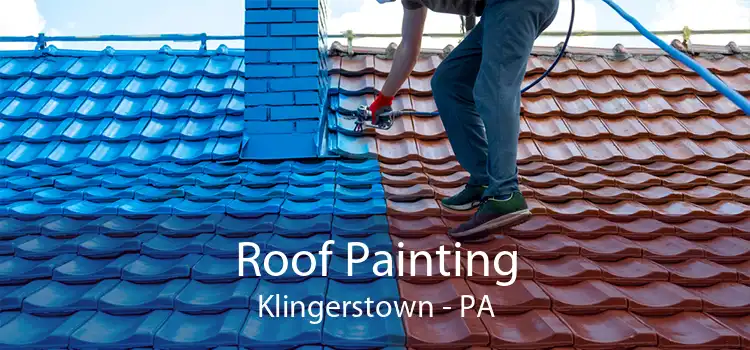 Roof Painting Klingerstown - PA