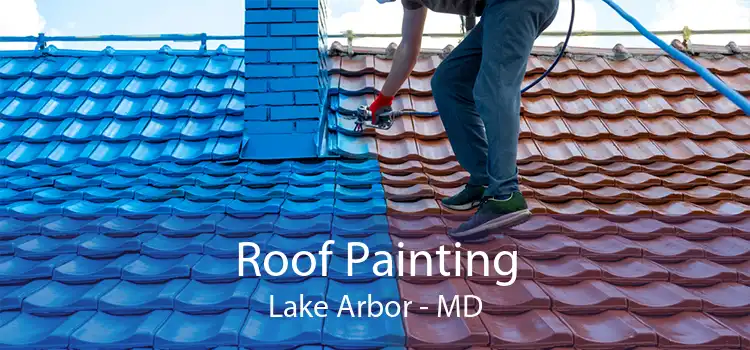Roof Painting Lake Arbor - MD