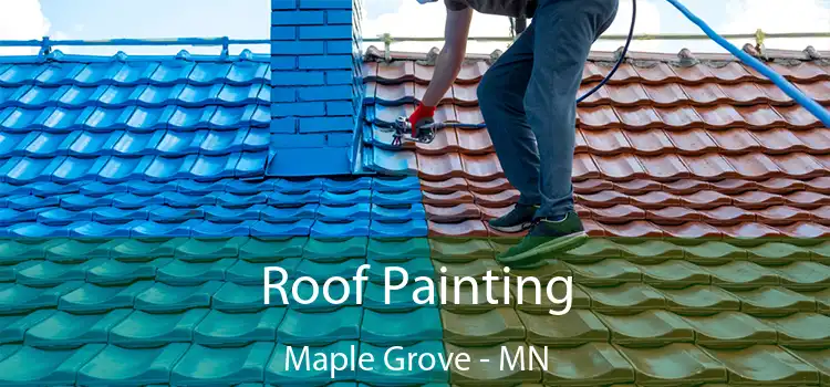Roof Painting Maple Grove - MN