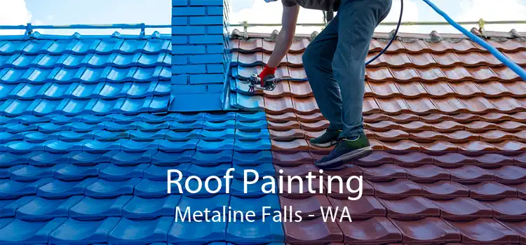 Roof Painting Metaline Falls - WA