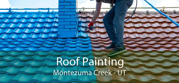Roof Painting Montezuma Creek - UT