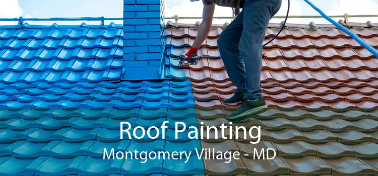 Roof Painting Montgomery Village - MD