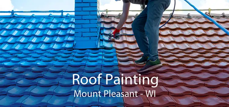 Roof Painting Mount Pleasant - WI