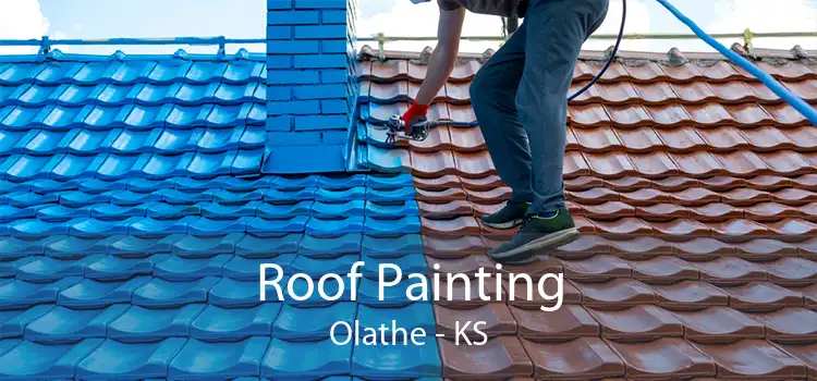 Roof Painting Olathe - KS
