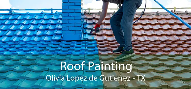 Roof Painting Olivia Lopez de Gutierrez - TX