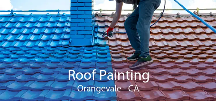Roof Painting Orangevale - CA